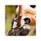 Акумуляторний секатор STIHL ASA 85 (48610116200) Акумуляторний секатор STIHL ASA 85 (48610116200)