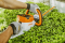 Кущоріз акумуляторний STIHL HSA 56 SET (45210113518) Кущоріз акумуляторний STIHL HSA 56 SET (45210113518)