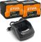 Комплект STIHL Starter Set: акумулятор AK 30 S - 2 шт. + зарядний пристрій AL 101 (45200075904)