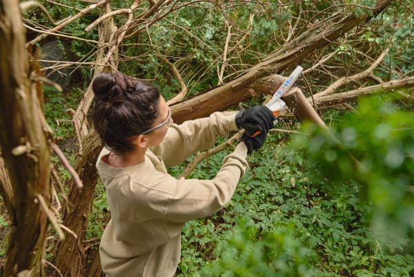 Акумуляторна пилка міні STIHL GTA 30 SET (GA050116918)