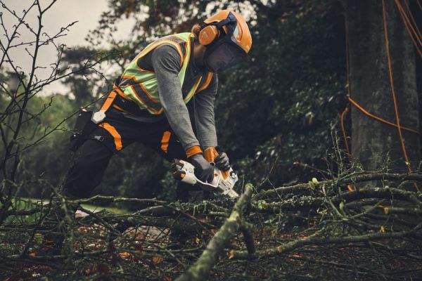 Шина STIHL LIGHT 01, 20 см, 1/4"P, 1.1 мм, 44 z (30080000203)