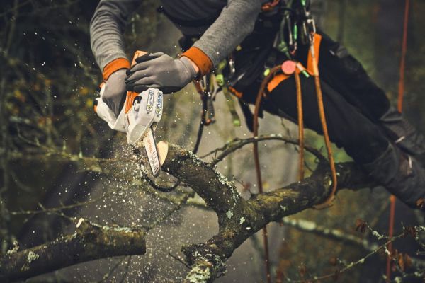 Шина STIHL LIGHT 01, 20 см, 1/4"P, 1.1 мм, 44 z (30080000203)