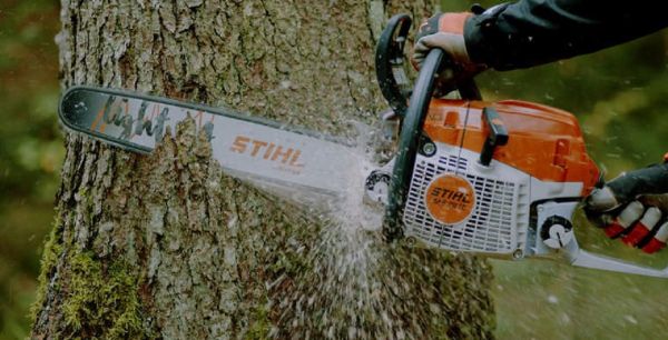 Направляющая шина STIHL LIGHT 04 Rollomatic E 35 см, .325", 1,6 мм, 56 z (30050004709)