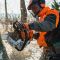 Бензопила STIHL MS 661 C-M (11442000321)